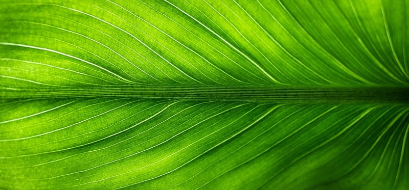 Eco-Friendly Artwork